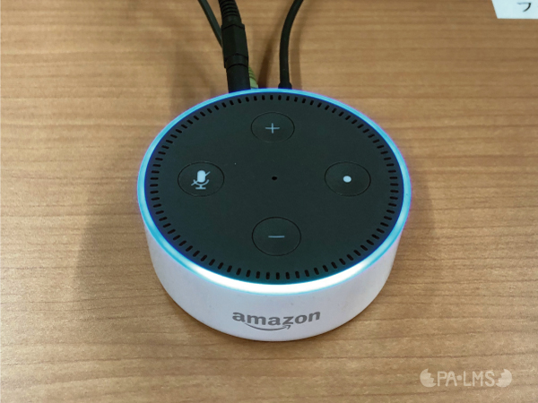 Amazon Echo Bot